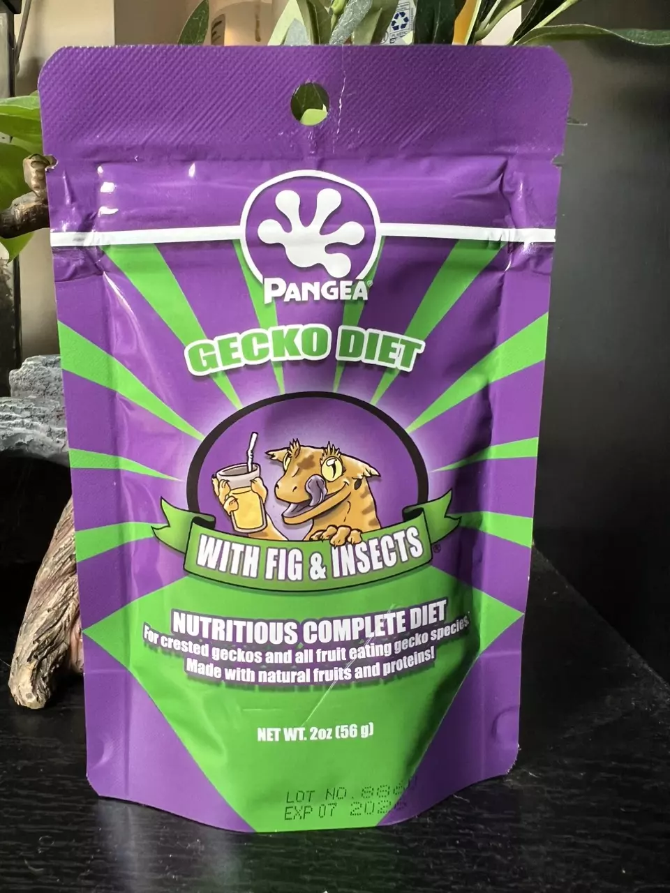 plant/8oz Pangea Fig & Insect-0