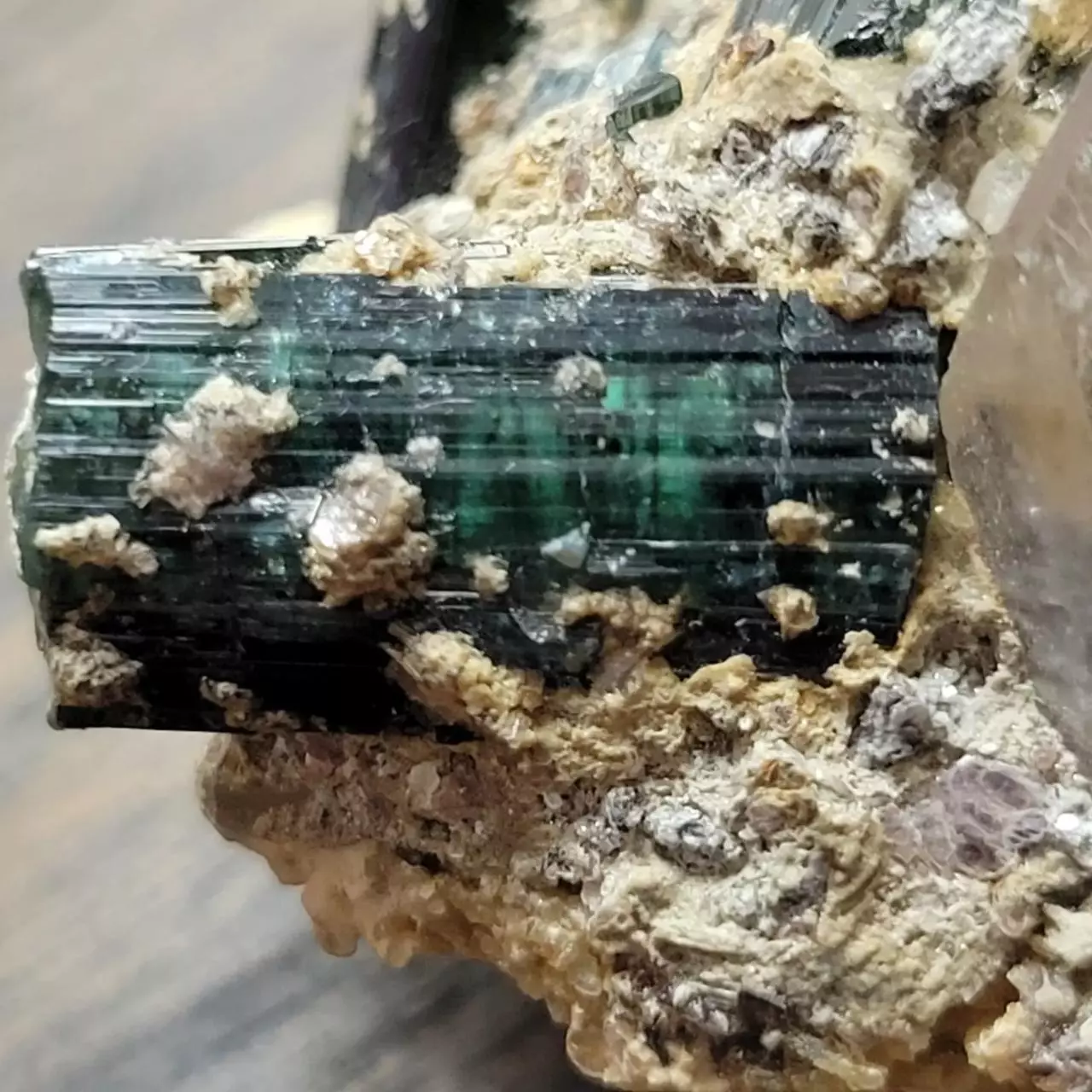 plant/Green Tourmaline+Smoky Quartz on Matrix-1