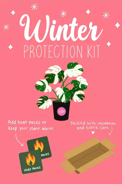 heat_pack/Full Winter Kit (Insulation + 72 hour Heat Pack)-0-thumbnail