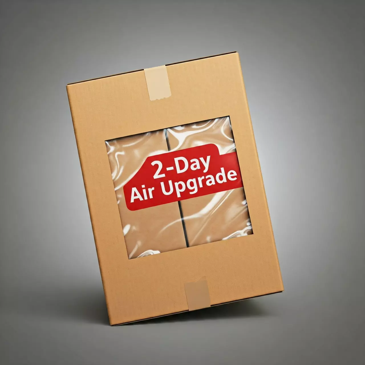 plant/2 Day Air Upgrade-0