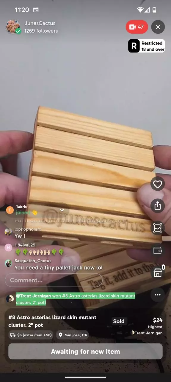 plant/Custom Pallets !-0