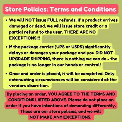 plant/Store Policies - READ BEFORE ORDERING -DO NOT PURCHASE-0-thumbnail