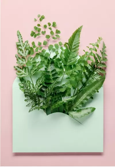 shipping_upgrade/Giveaway Shipping-0-thumbnail