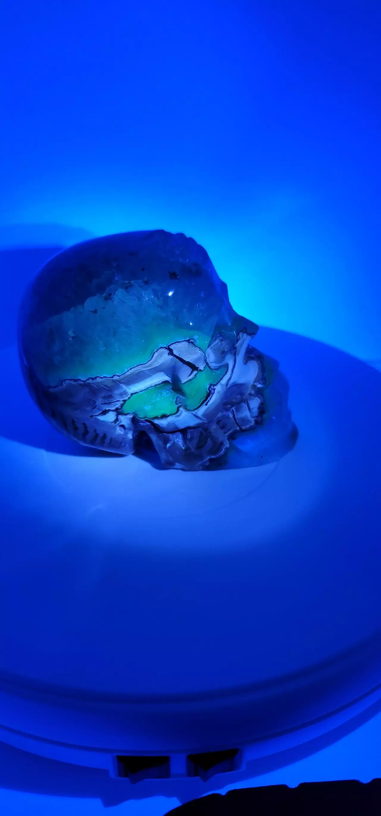 plant/Volcano Agate Skull Carving-0