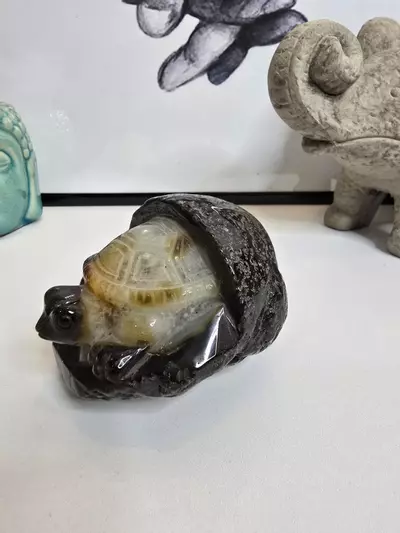 plant/Agate Geode Turtle Carving-1-thumbnail