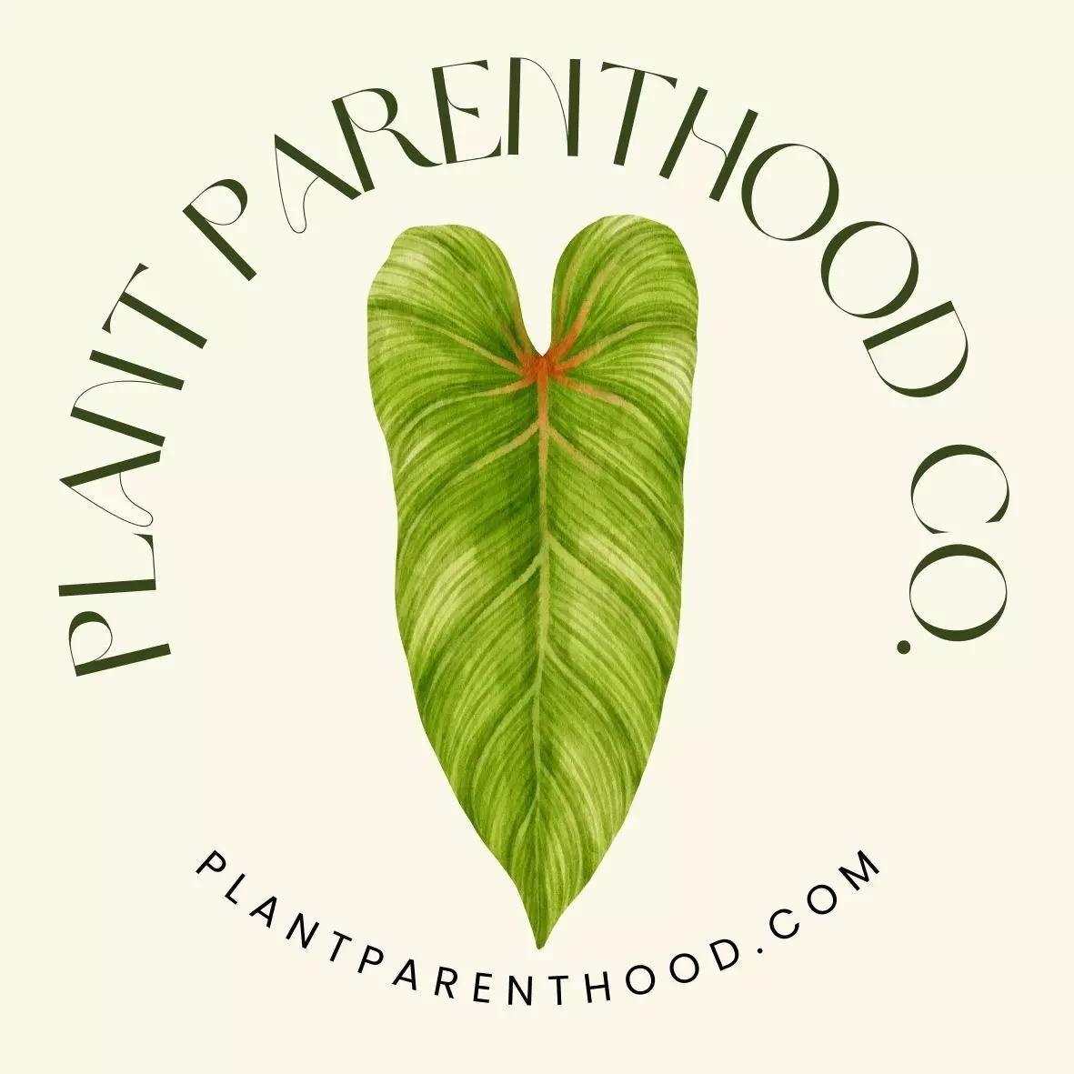 plant/Upgraded shipping 6-10 plants-0