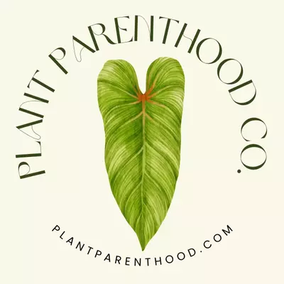 plant/Upgraded shipping 6-10 plants-0-thumbnail