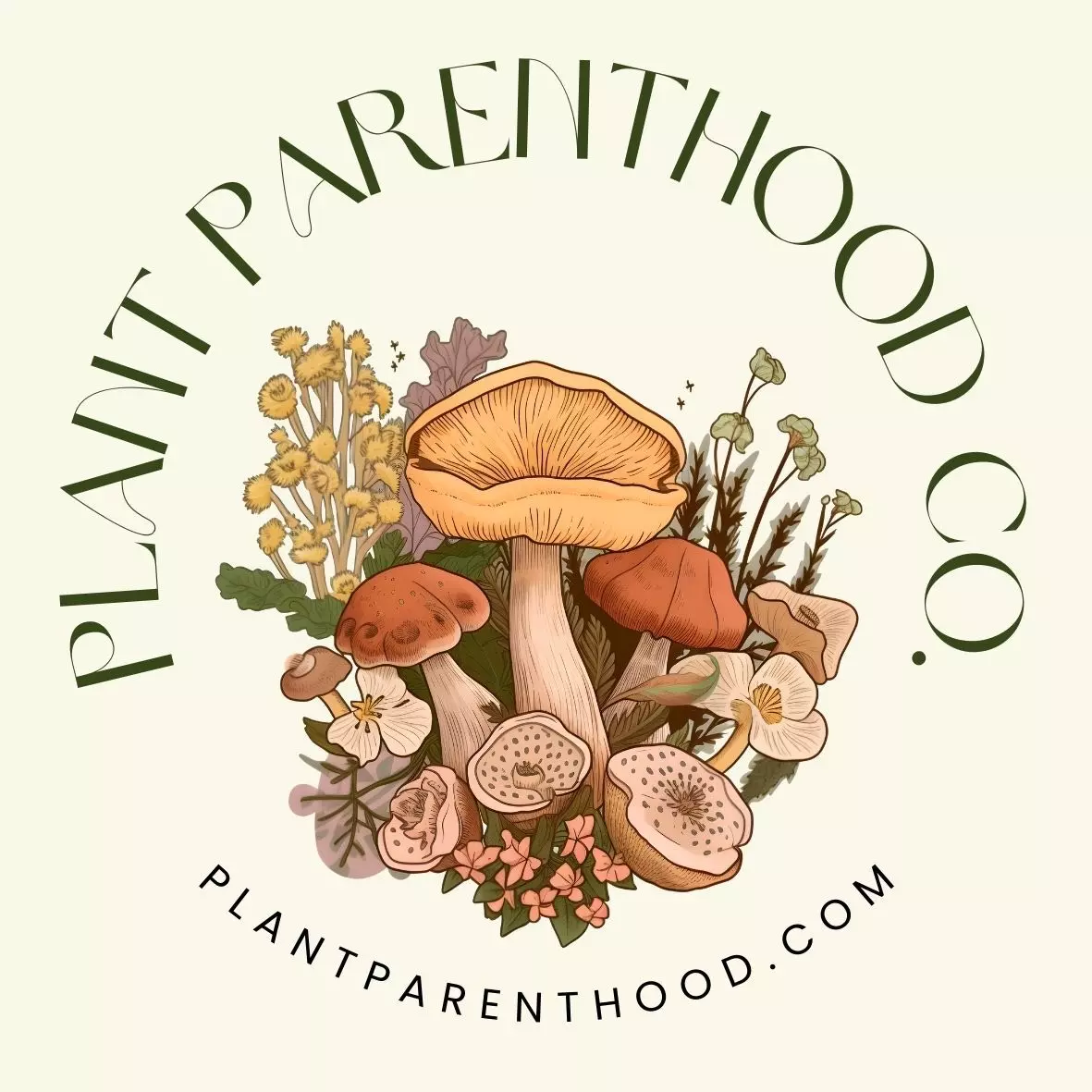 plant/Upgraded Shipping1-5 Plants-0