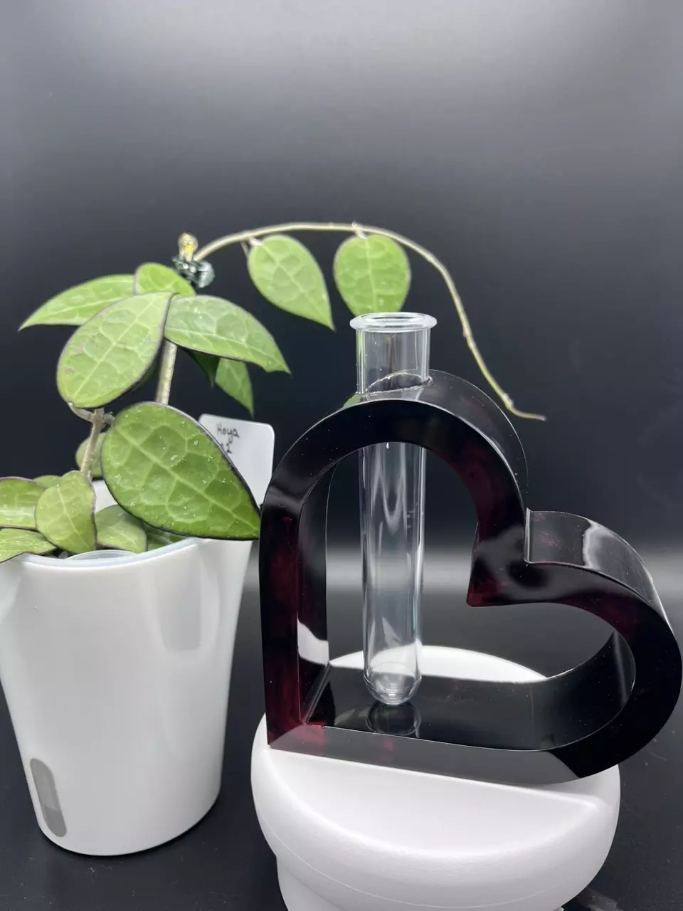 plant/Handmade Resin Propagation Station-0