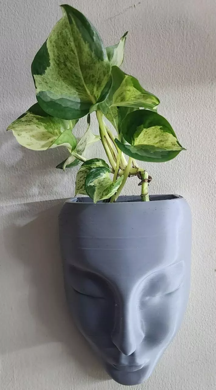 plant/Pot Head- Manjula Pothos Sisters-Wall Art-0