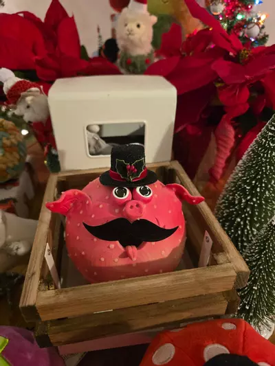 plant/Little Guy-0-thumbnail