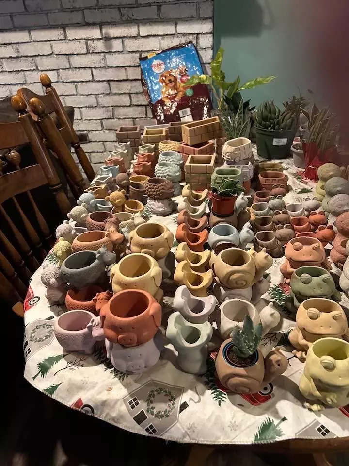 plant/Cute little pots all shapes designs and sizes-0