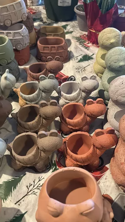 plant/Cute little pots all shapes designs and sizes-2-thumbnail