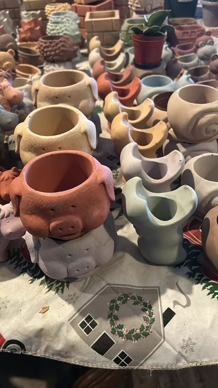 plant/Cute little pots all shapes designs and sizes-8