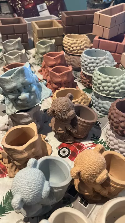 plant/Cute little pots all shapes designs and sizes-6-thumbnail