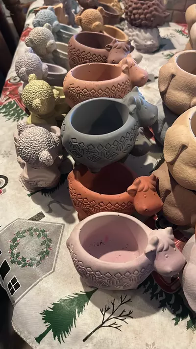 plant/Cute little pots all shapes designs and sizes-4-thumbnail