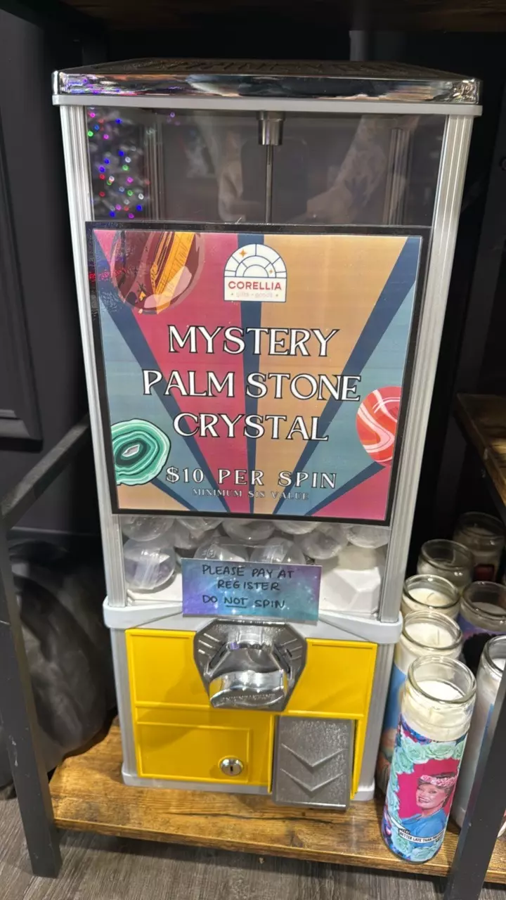 plant/Mystery Palmstone Machine Spin-0