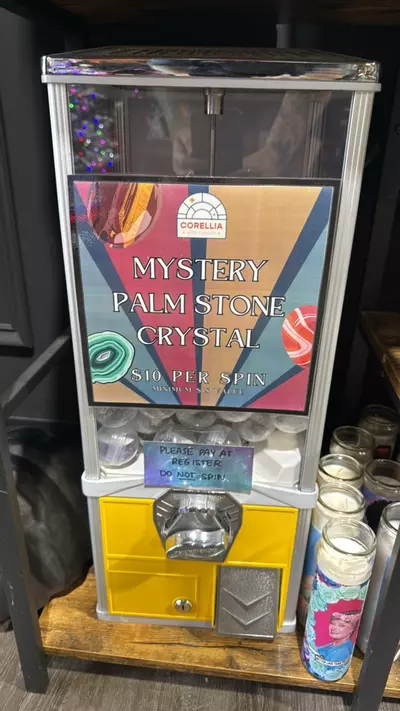 plant/Mystery Palmstone Machine Spin-0-thumbnail