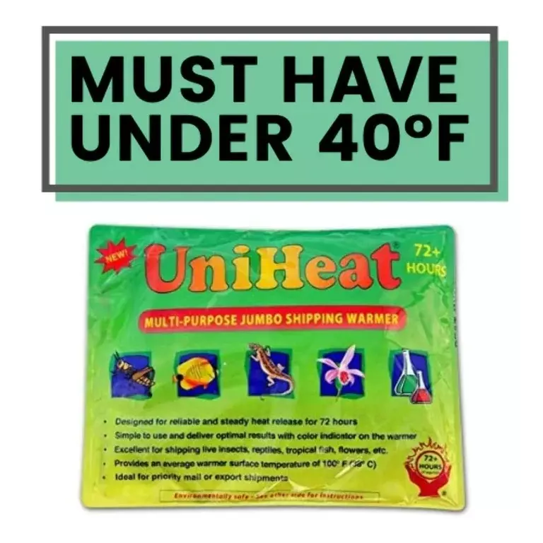 heat_pack/Winter Add-on (Heat & Insulation)-0