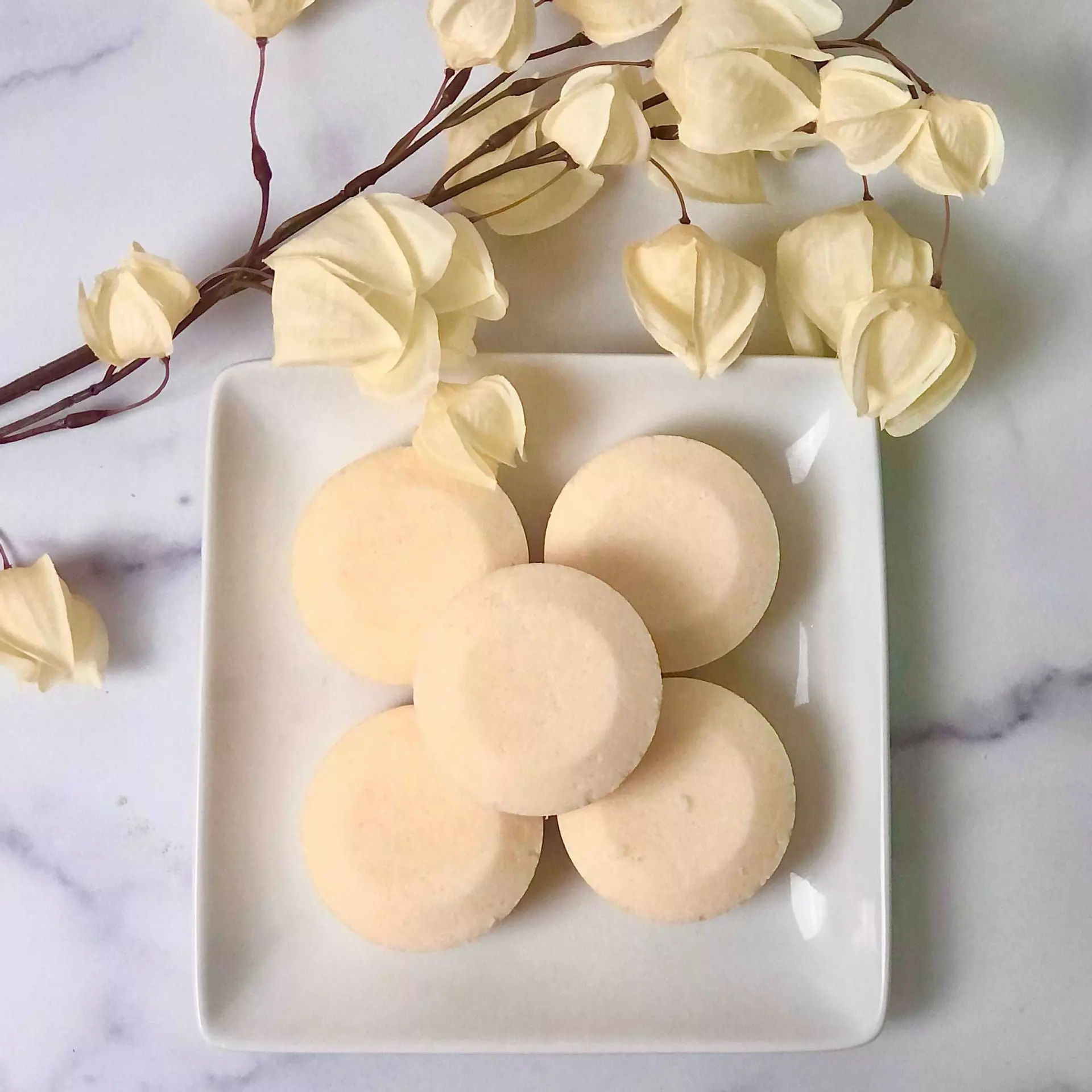 plant/Energy Shower Steamer-1