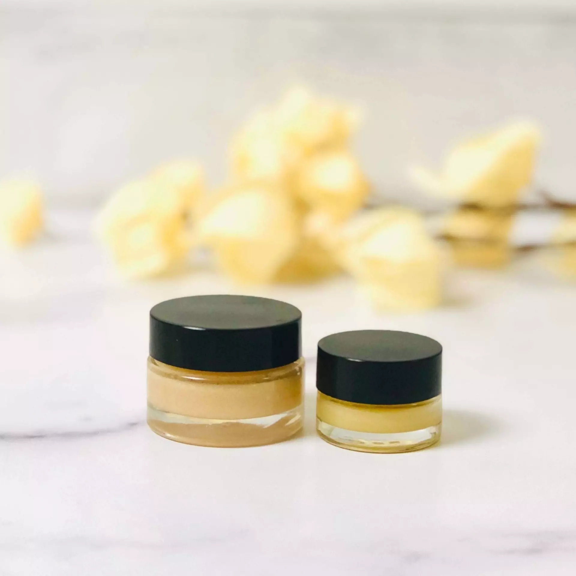 plant/Perfect Pout Lip Care Duo-0