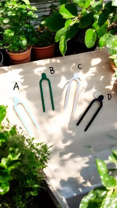 plant/50 Pack Prop/Stem/Peduncle Picks-0-thumbnail