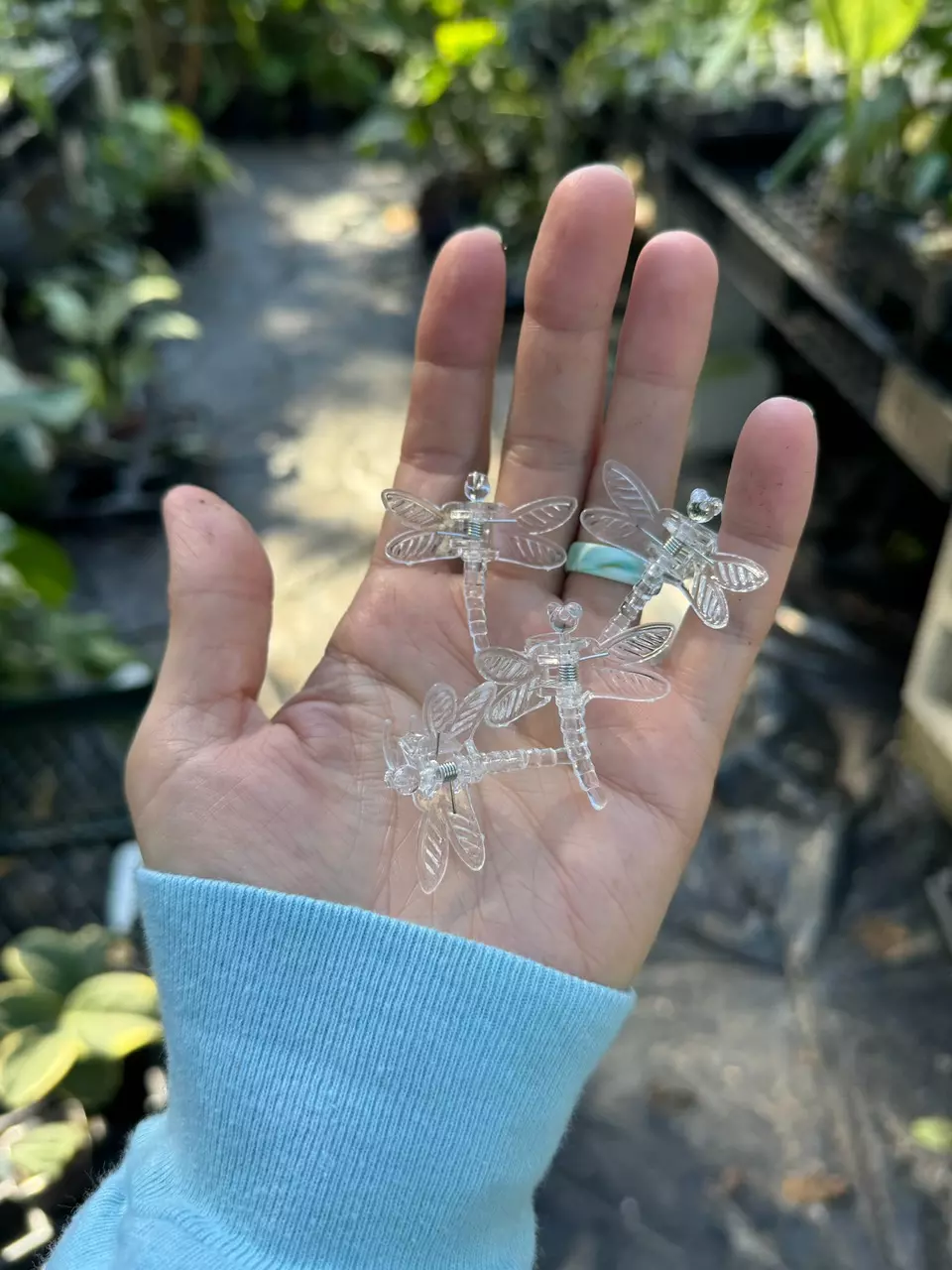 plant/ADD ON ONLY Dragonfly clips-0