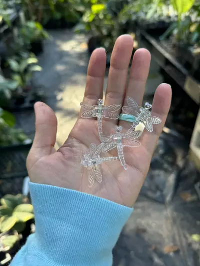 plant/ADD ON ONLY Dragonfly clips-0-thumbnail