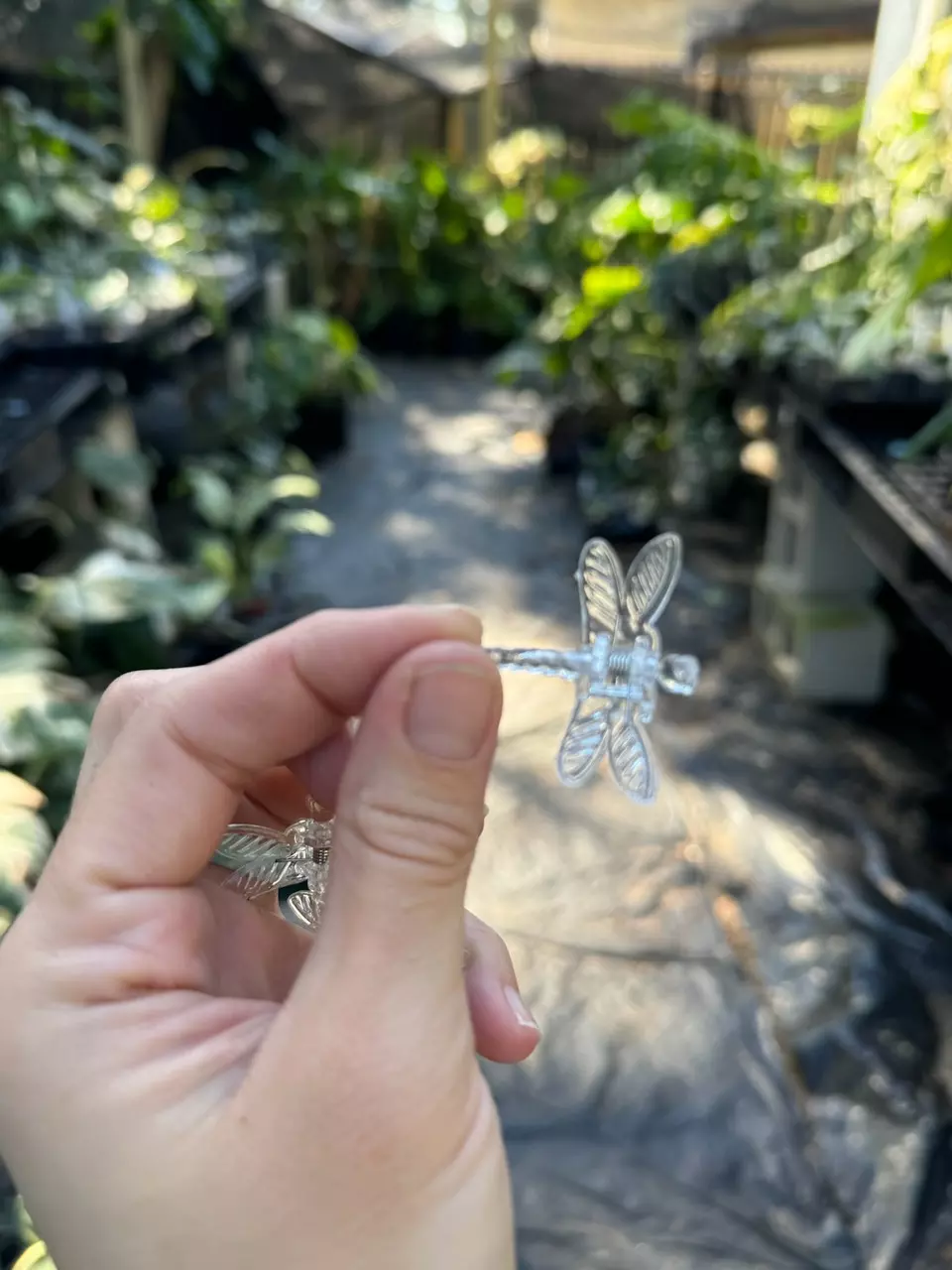plant/ADD ON ONLY Dragonfly clips-1