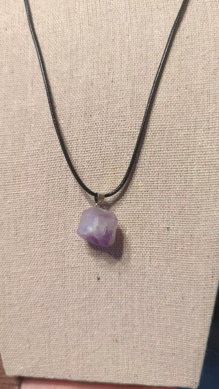plant/1 Amethyst Point Pendant-5