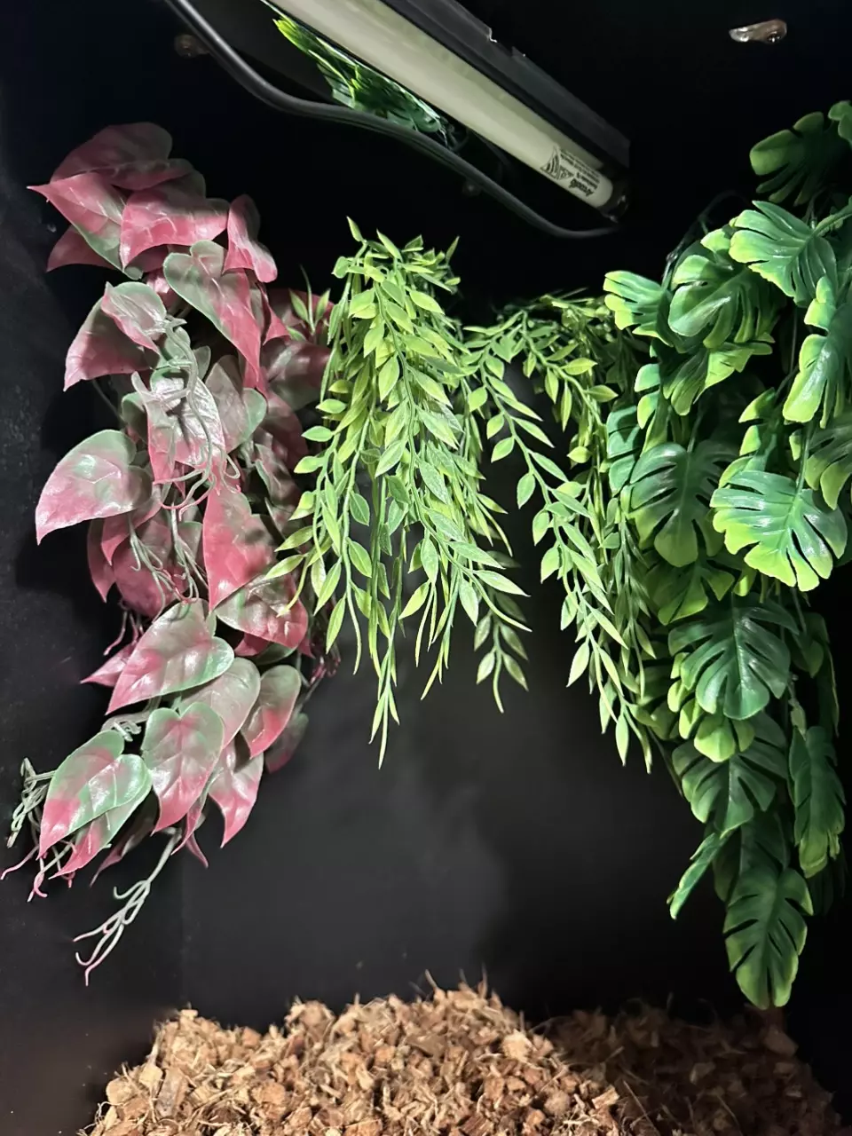 plant/FREE SHIPPING - (3) Artificial Plant Holders with (6) Screws for PVC enclosures-1