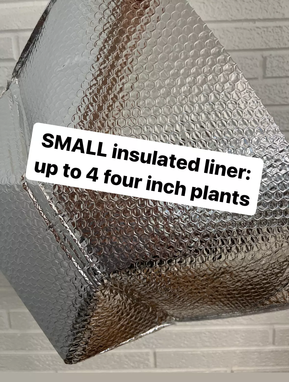 plant/Insulated Liner — small, up to 4 inch plants PLEASE READ DESCRIPTION.-0