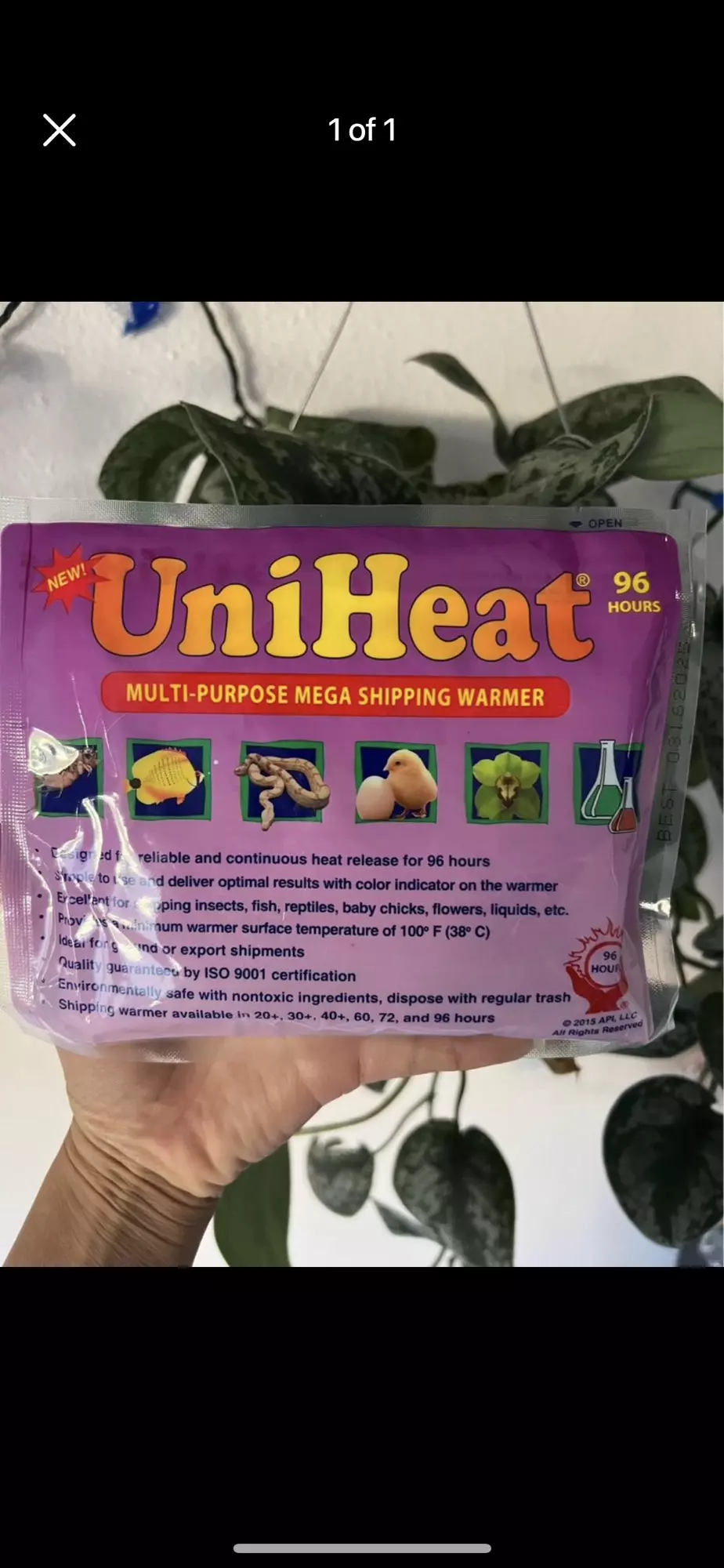 plant/96 HourHeat Pack-0