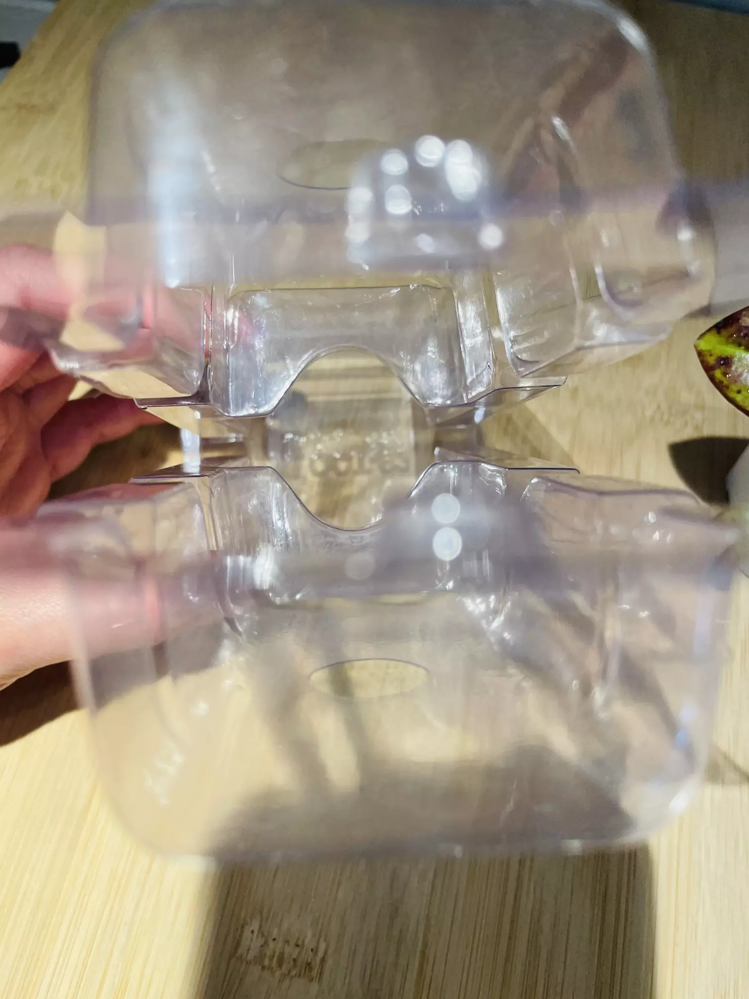 plant/Plant Packaging Containers Small(20)-4