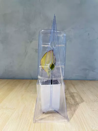 plant/Plant Packaging Containers Small(20)-2-thumbnail