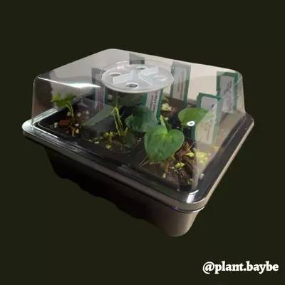 heat_pack/Humidity Dome (Add-on product only)-0-thumbnail