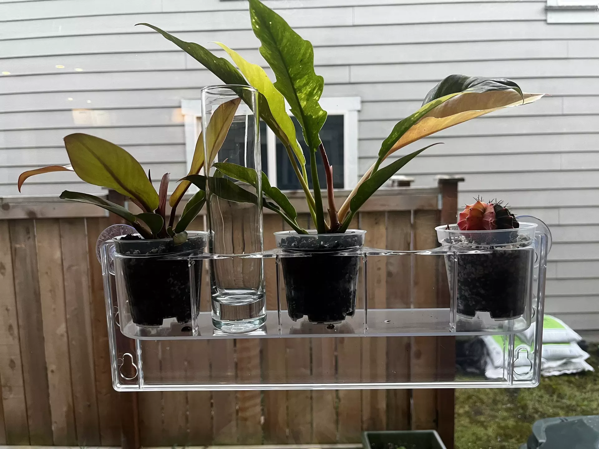 plant/IKEA greenhouse shelves-0