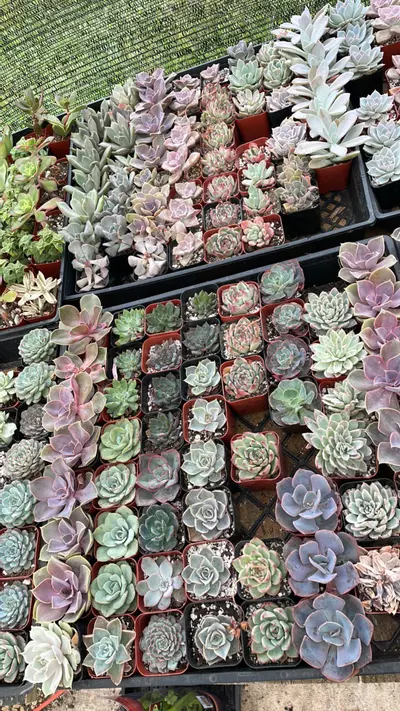 heat_pack/Giveaway Shipping!-0-thumbnail