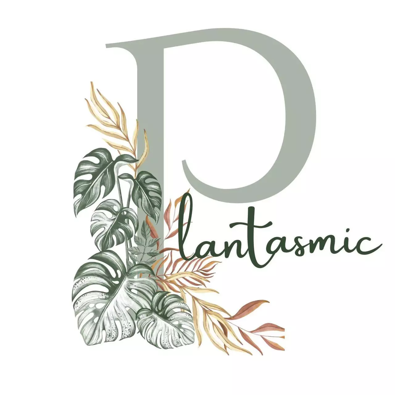 heat_pack/Express Shipping upgrade-0