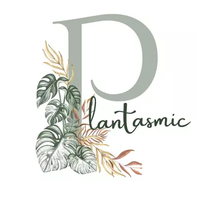 heat_pack/Express Shipping upgrade-0-thumbnail