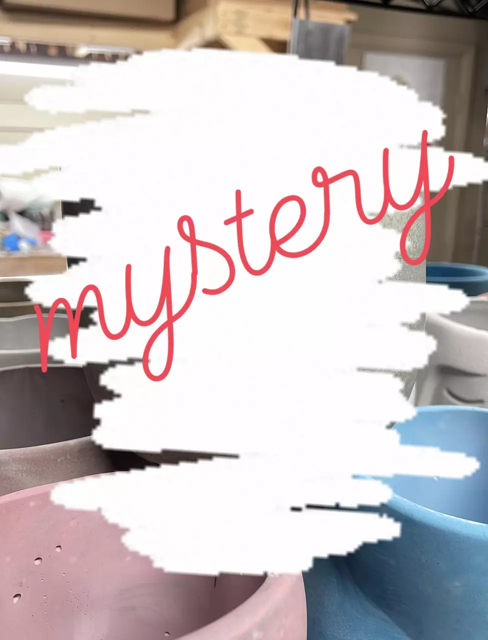 plant/Mystery 4” “perfect” pot-0