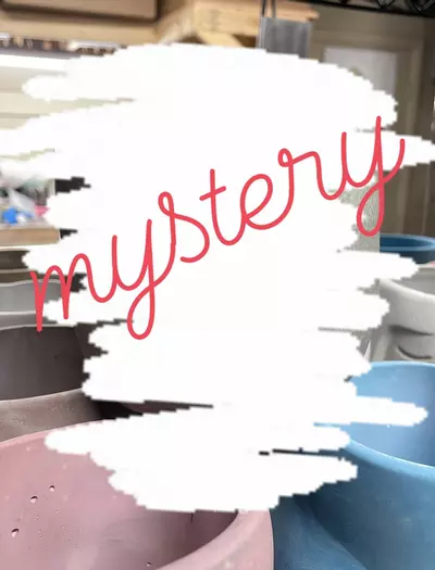 plant/Mystery 4” “perfect” pot-0-thumbnail