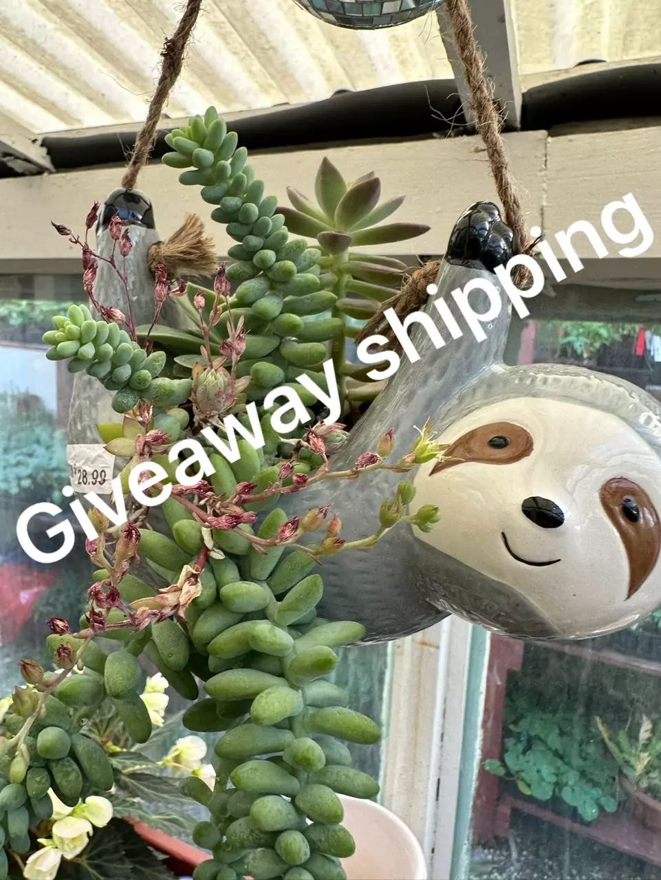plant/Giveaway shipping fee-0