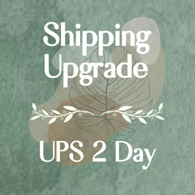 heat_pack/UPS 2 Day-0-thumbnail