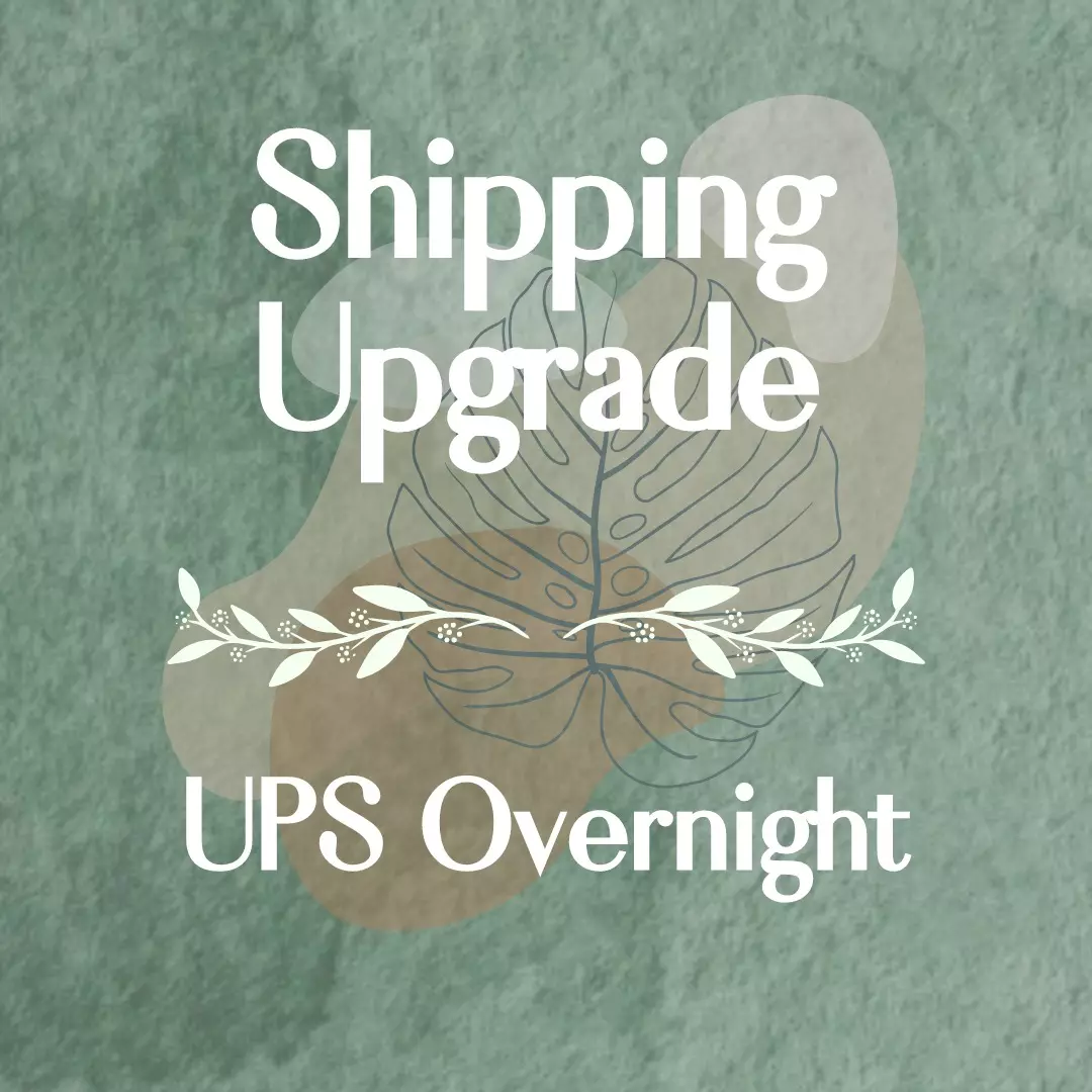 heat_pack/UPS Overnight-0