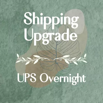 heat_pack/UPS Overnight-0-thumbnail