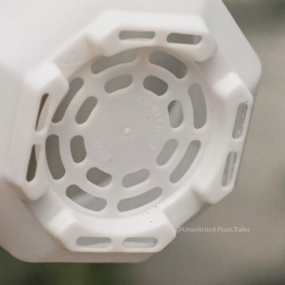 plant/Small Hanging Pot (pack of 20)-1