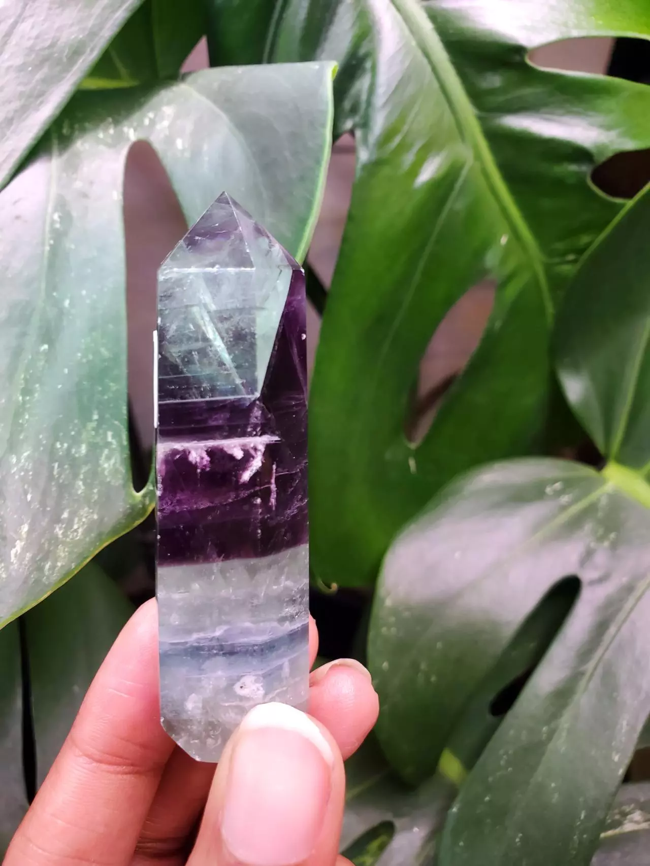 plant/Fluorite Tower-0