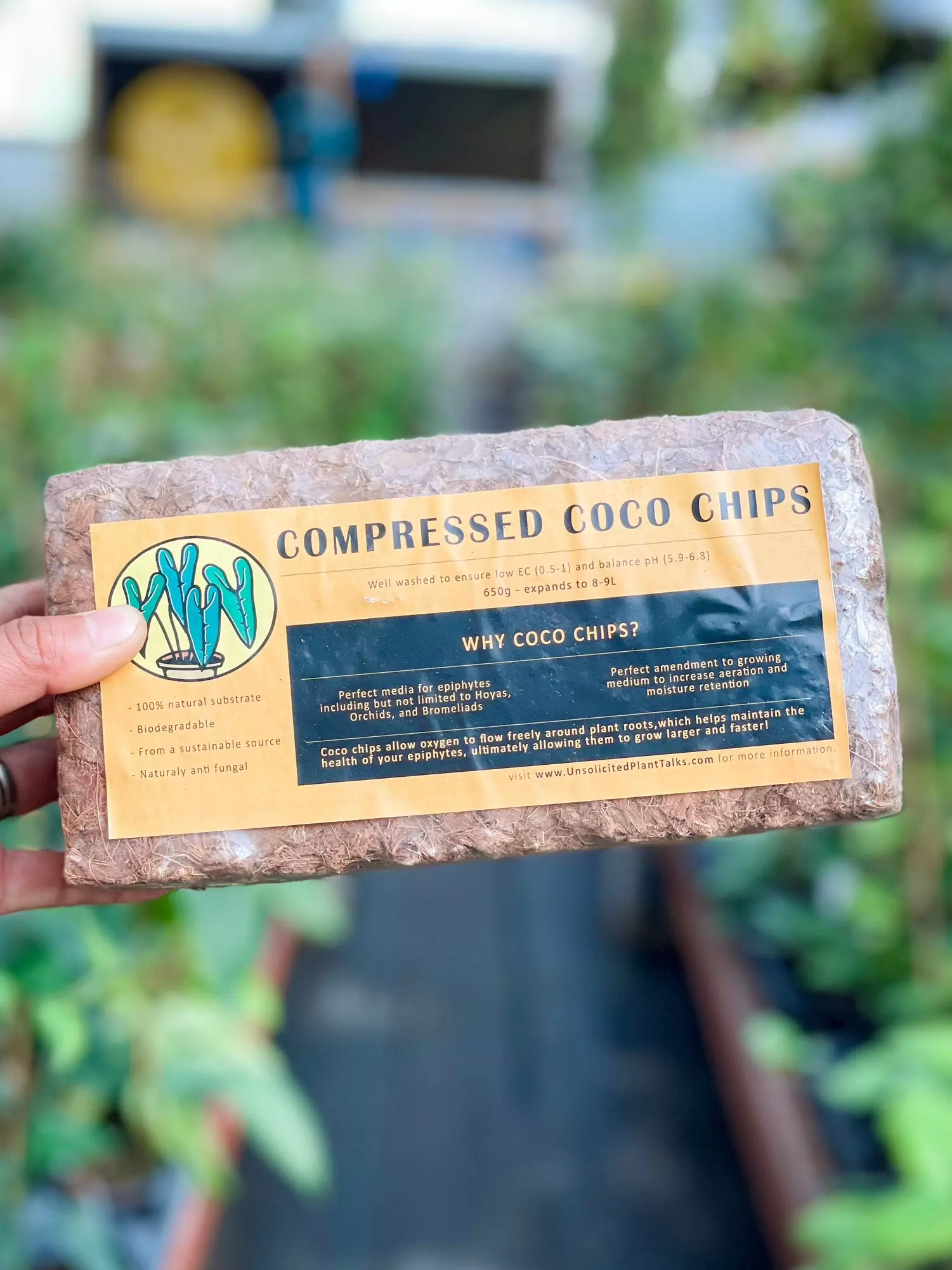 plant/UPT coco husk - (Pack of 2)-0