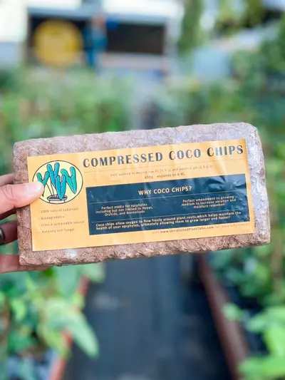 plant/UPT coco husk - (Pack of 2)-0-thumbnail